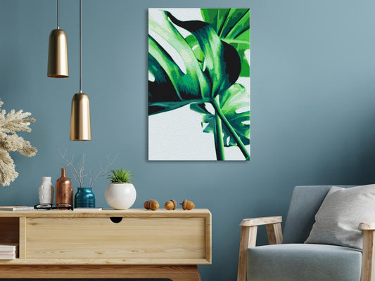 Malen nach Zahlen - Monstera Adansonii