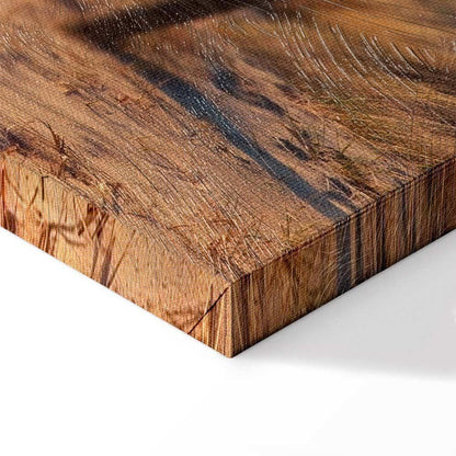 Leinwandbild - Sunset Path