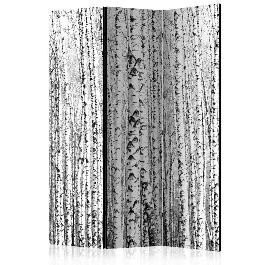 Paravent - Birch forest Artgeist