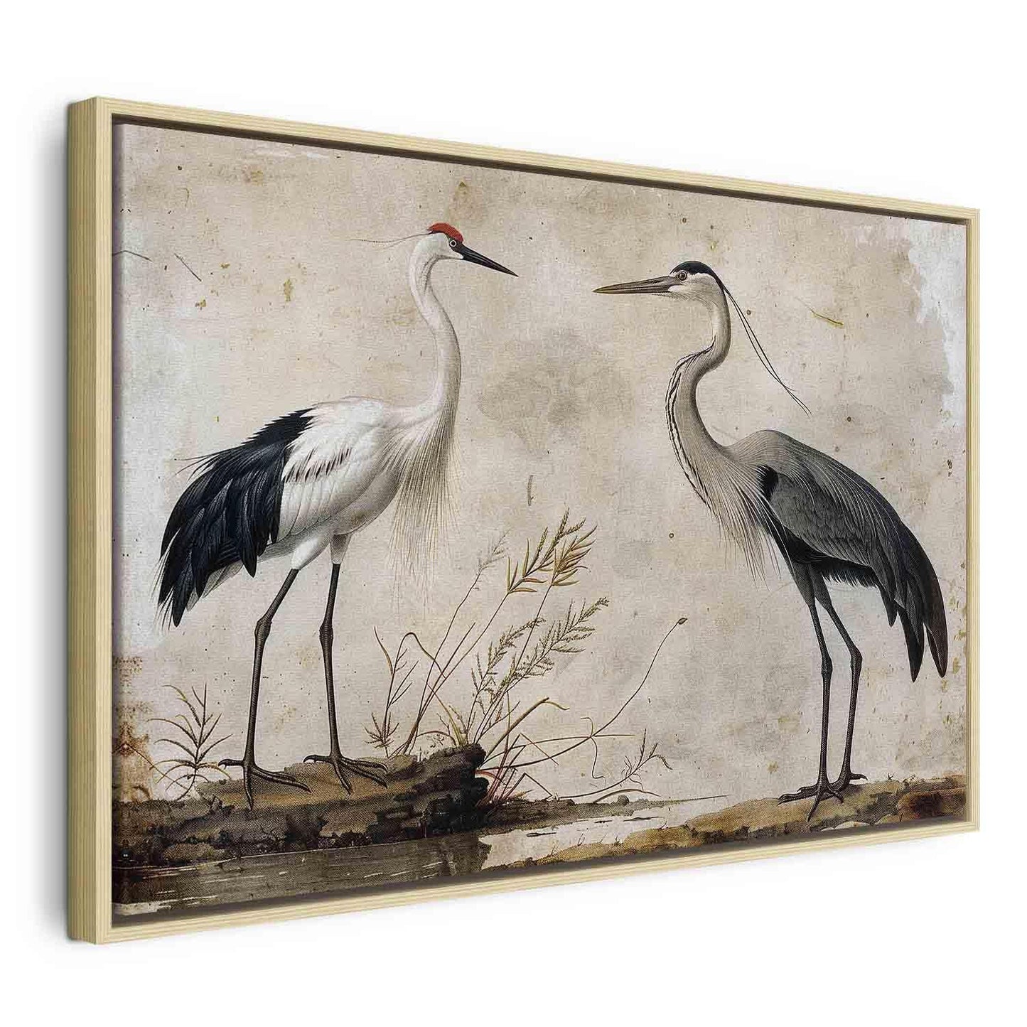 Leinwandbild - Birds from an old engraving - vintage-style illustration depicting a heron and a crane