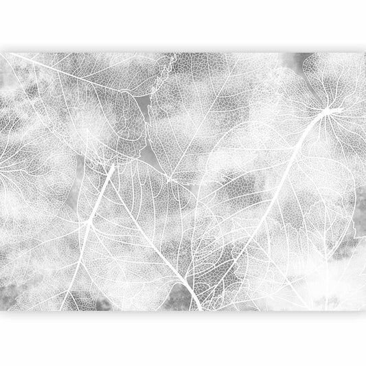 Fototapete - Nature in My Home - Third Variant