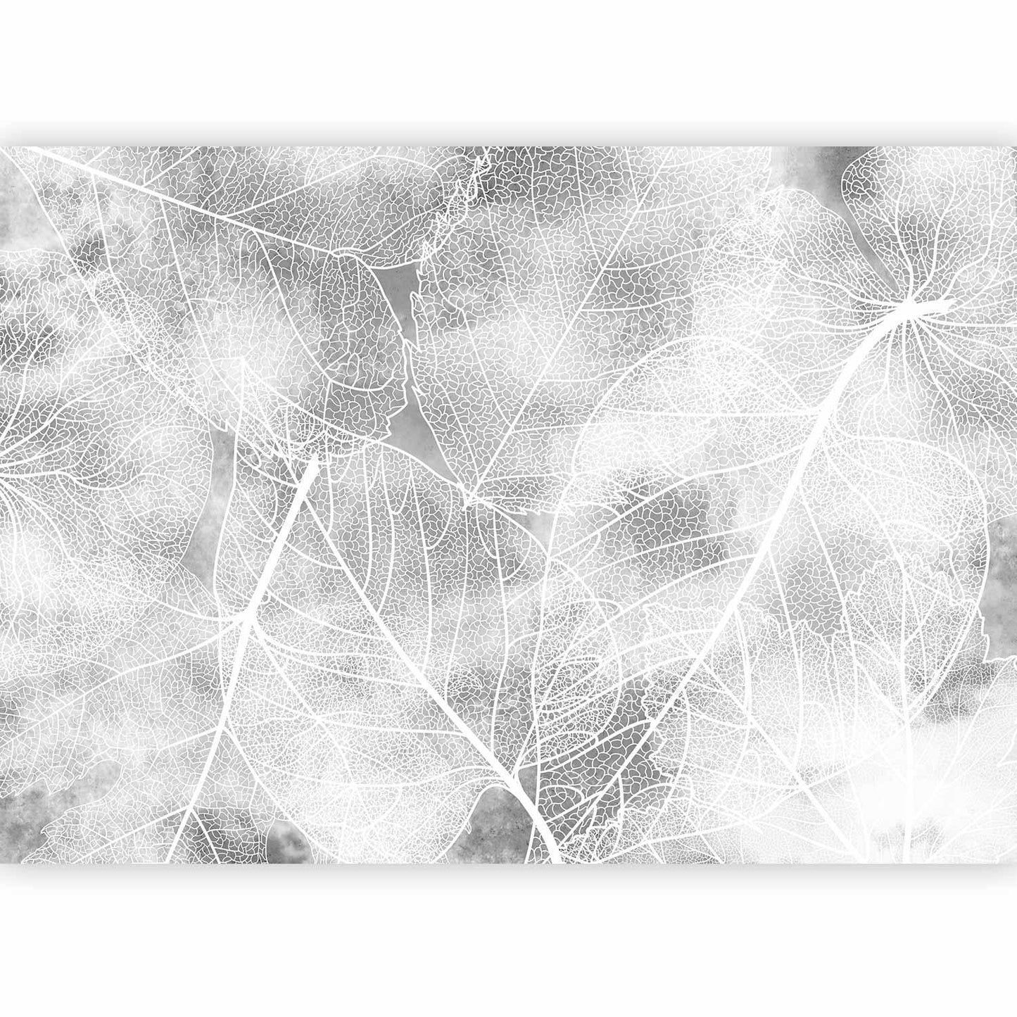 Fototapete - Nature in My Home - Third Variant