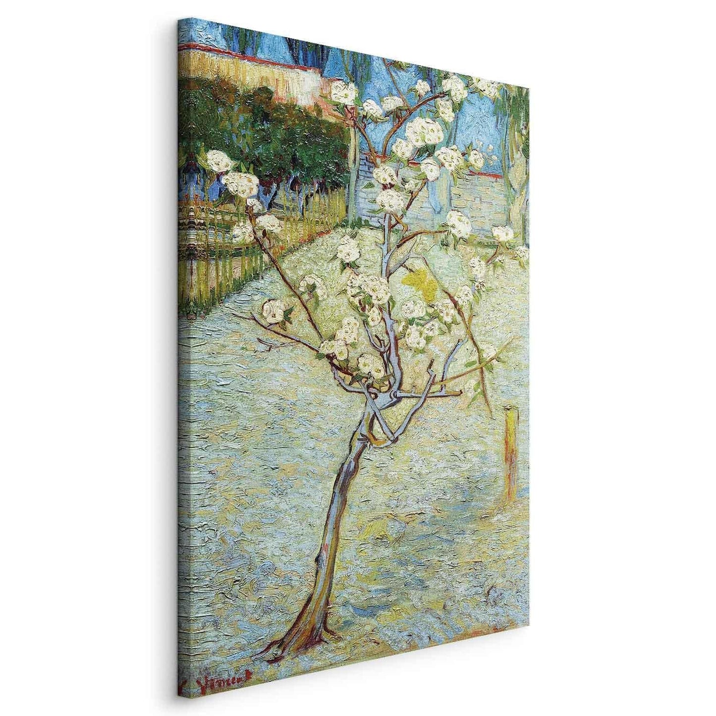 Leinwandbild - Blossoming Pear Tree Artgeist
