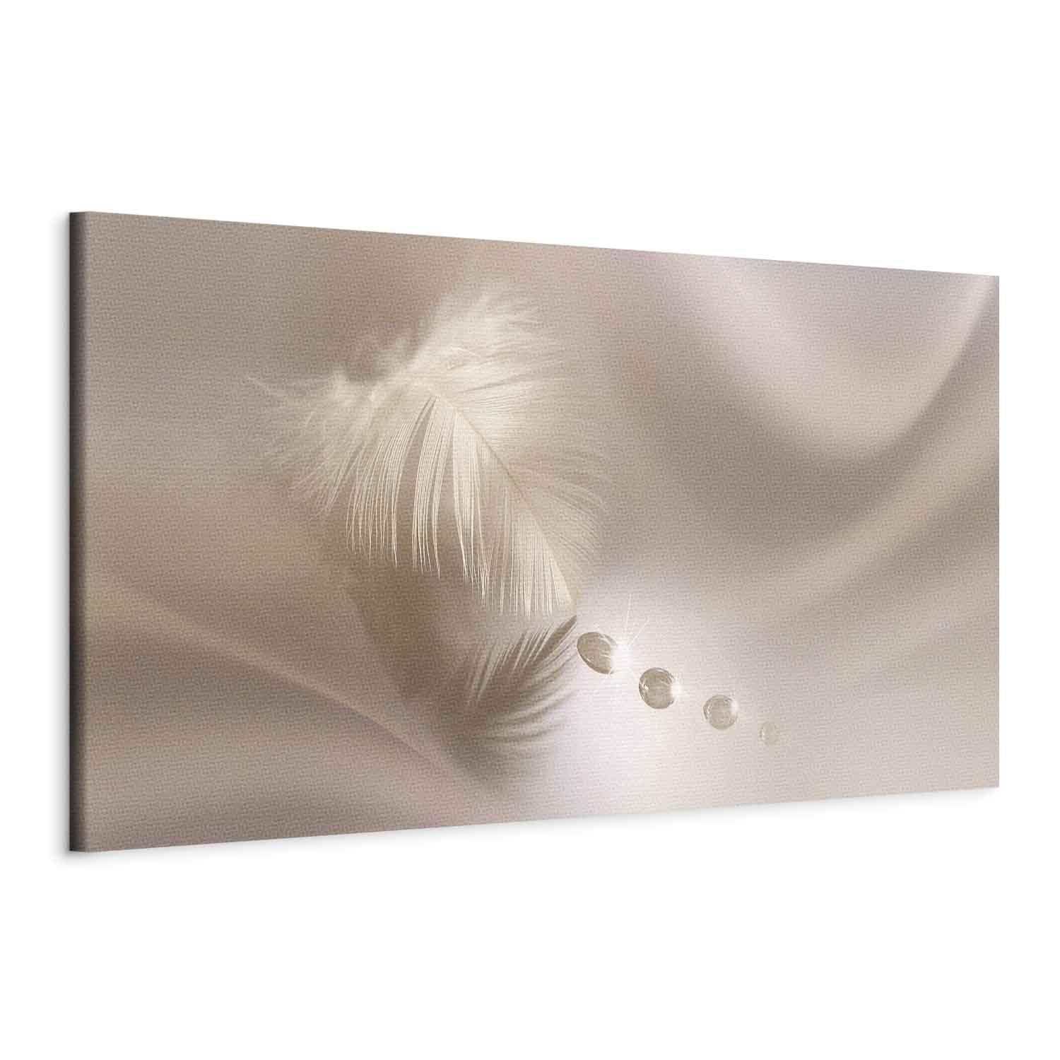 Leinwandbild - Delicate Feather Artgeist