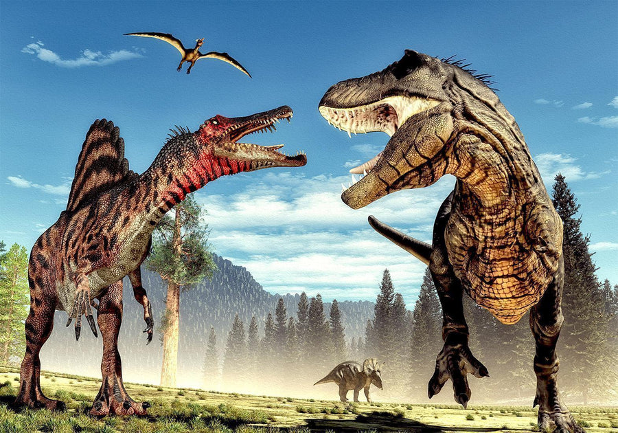 T-Rex und Triceratops im Kampf – Wanddekoration

