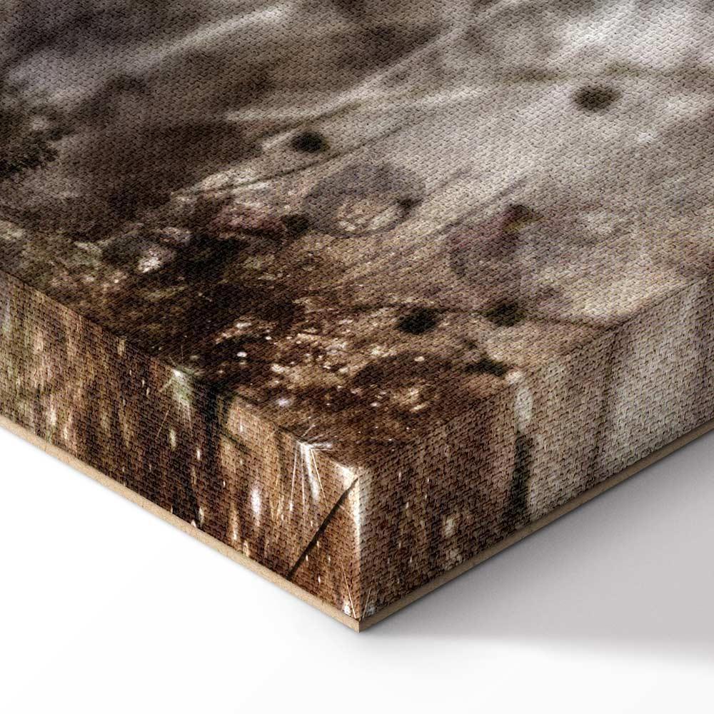 Leinwandbild - Anemones in Sepia (1 Part) Wide