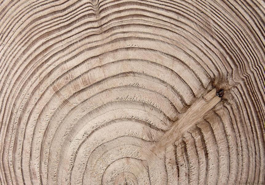 Fototapete Holzmaserung - Authentische Holzstruktur mit natürlichen Brauntönen