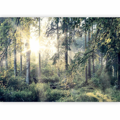 Wohnzimmer mit beruhigender Waldtapete

