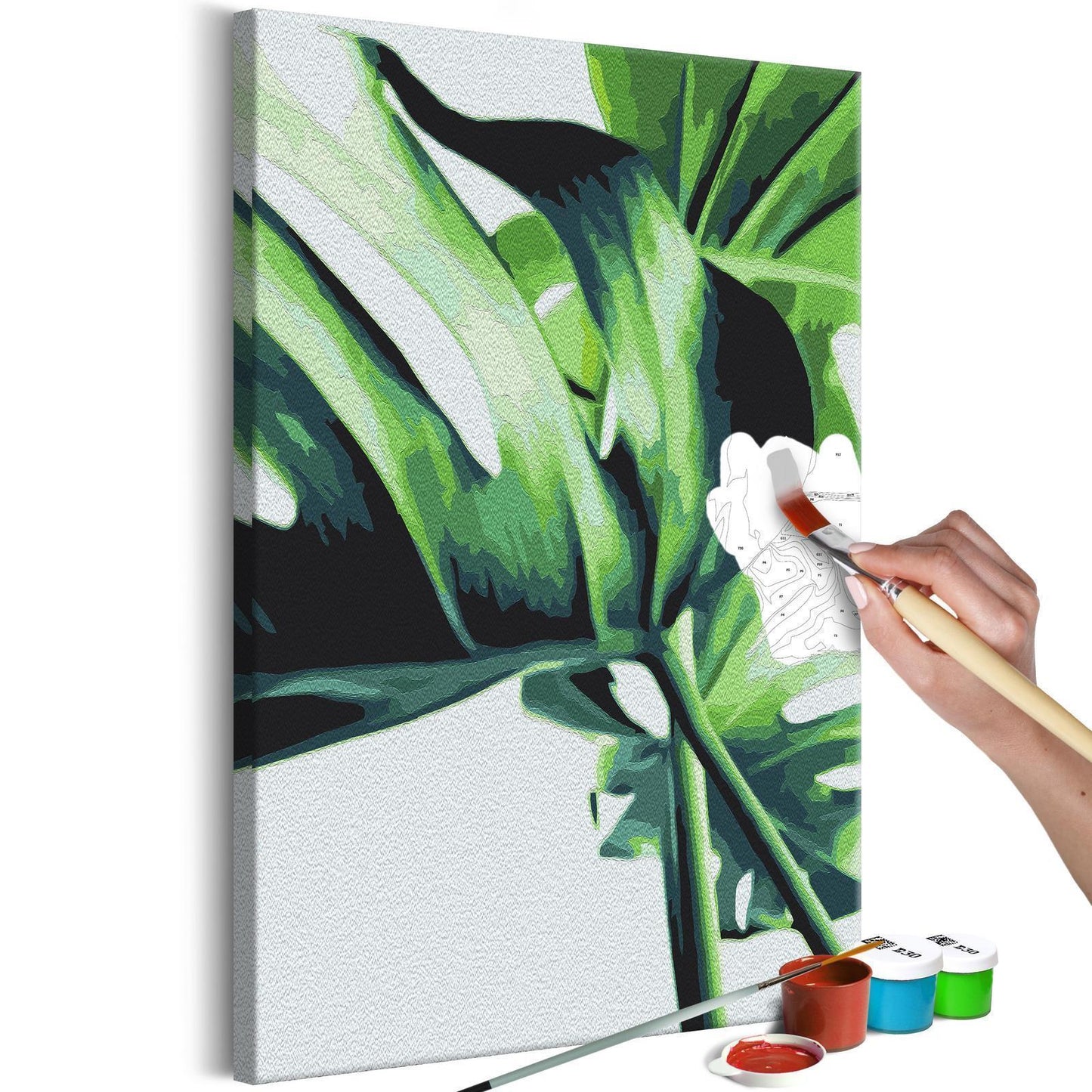 Malen nach Zahlen - Monstera Adansonii