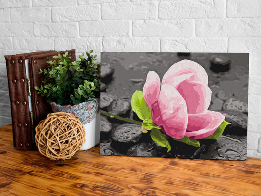 Malen nach Zahlen Pink Flower and Stones Geschenk - beruhigendes Natur-Motiv für kreative Entspannung