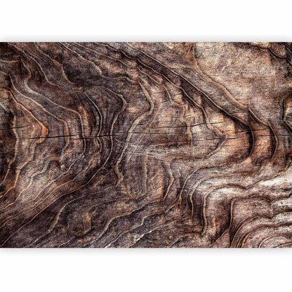 Fototapete - Signs of the times - an abstract background with the wrinkled bark of an old tree