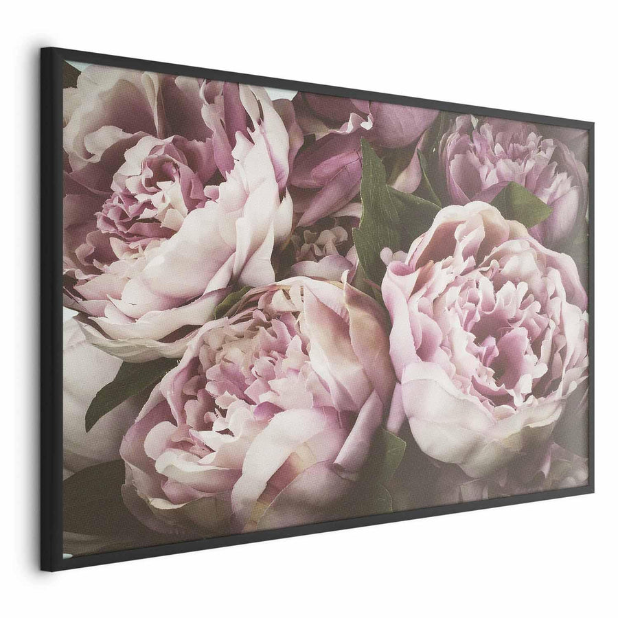 Poster - Pink Peonies Artgeist