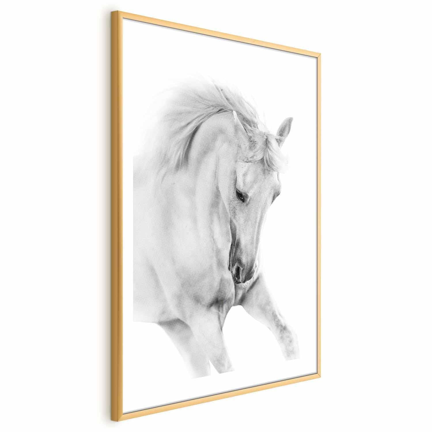 Poster - White Horse Artgeist