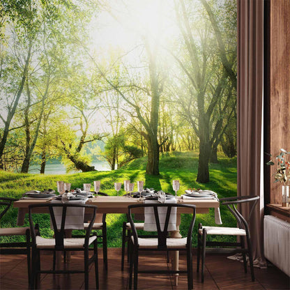 Fototapete - Sunny May Day