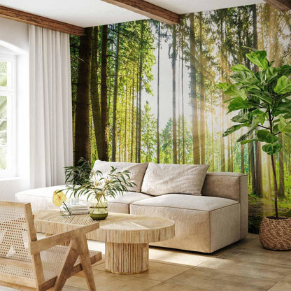 Fototapete - Forest Tales