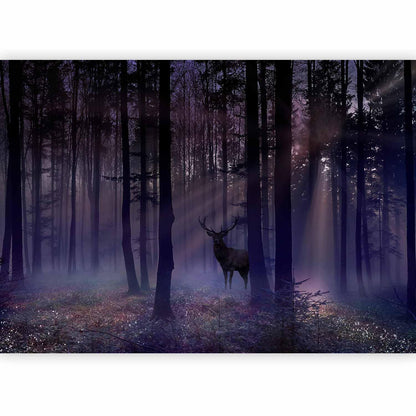 Fototapete - Mystical Forest - Second Variant Artgeist