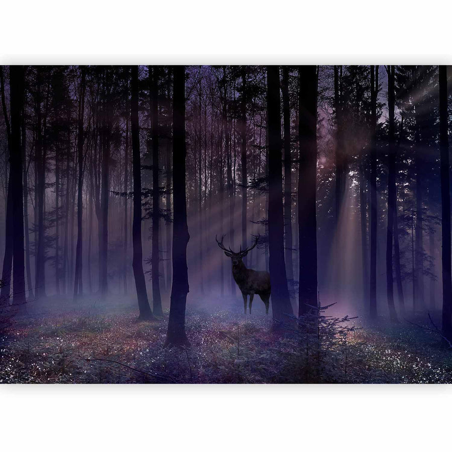 Fototapete - Mystical Forest - Second Variant Artgeist