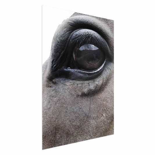 Poster - Honest Eyes Artgeist
