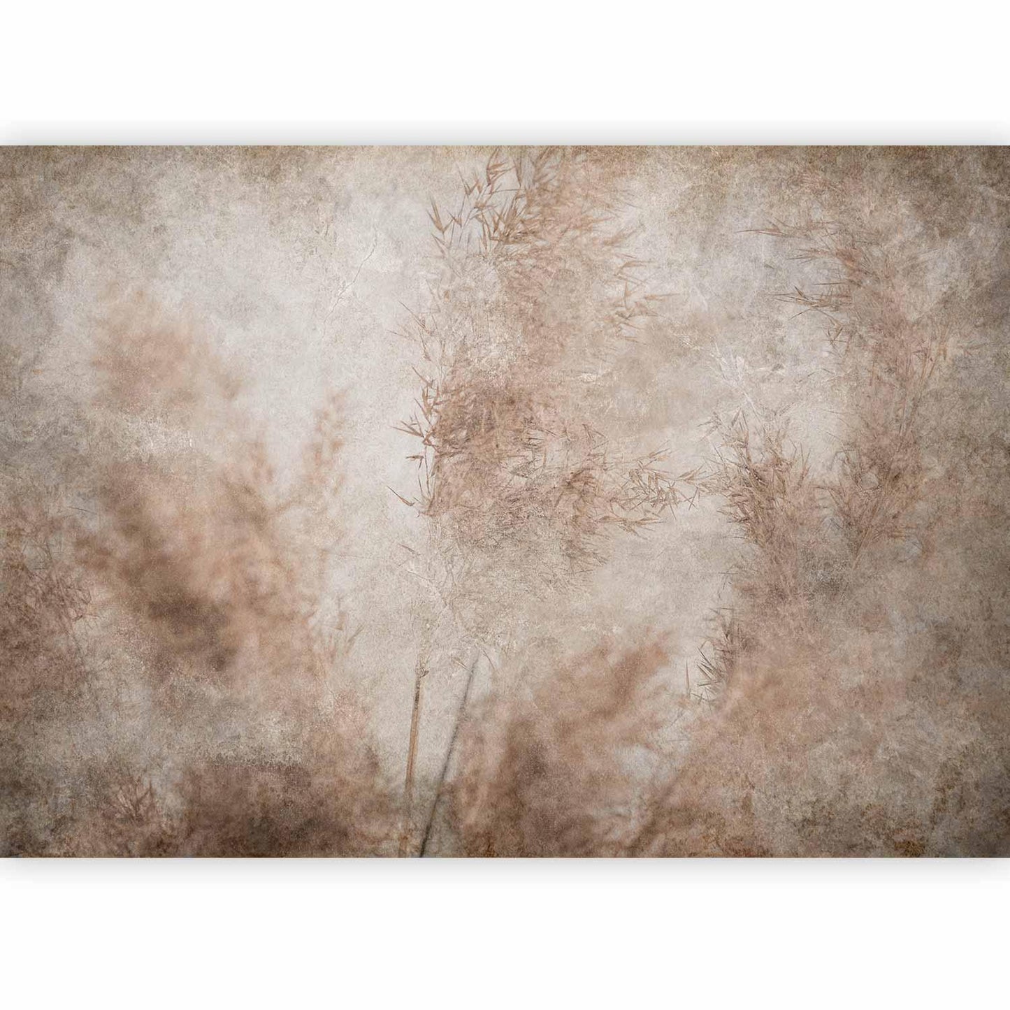 Fototapete - Blown Away by the Wind