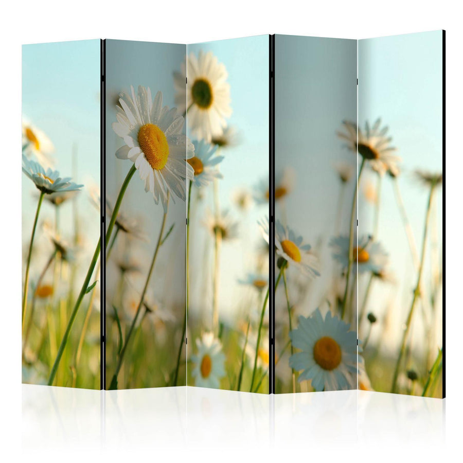 Paravent - Daisies - spring meadow II Artgeist