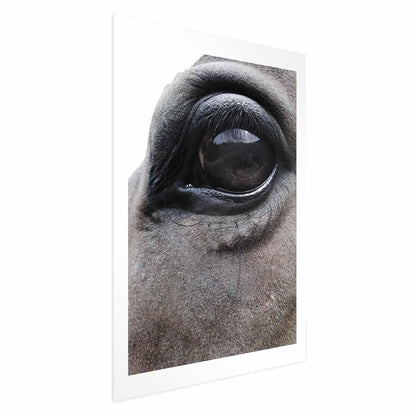Poster - Honest Eyes Artgeist