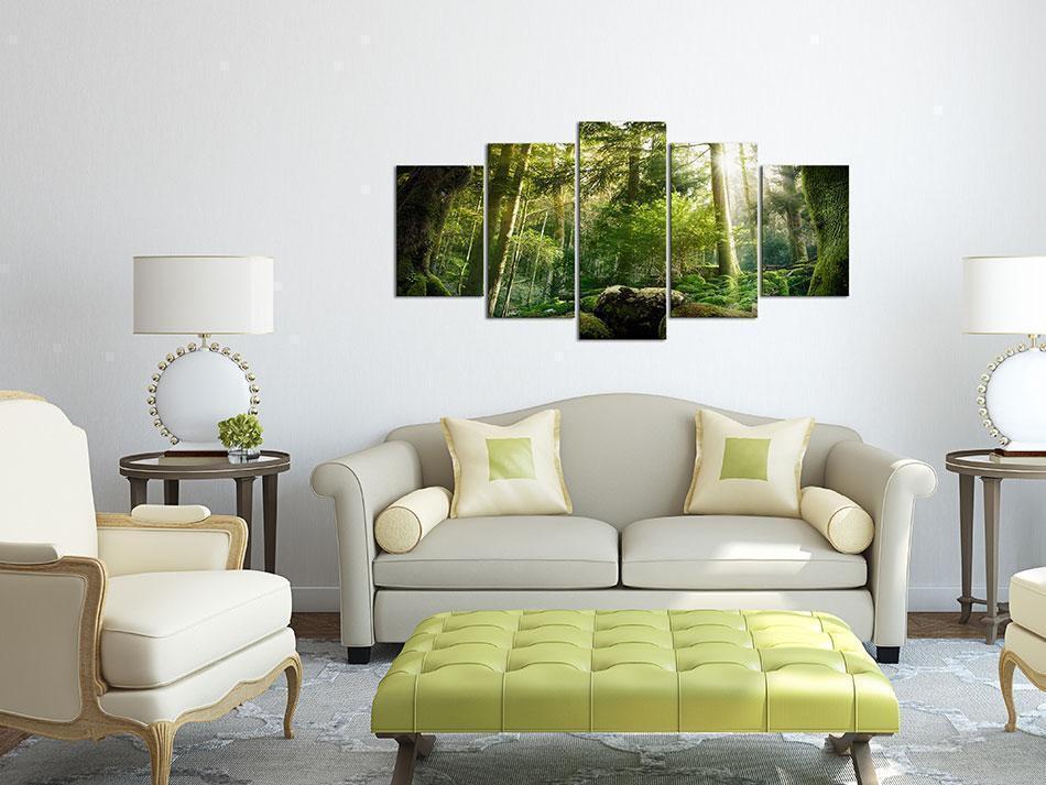 Leinwandbild - The Beauty of the Forest