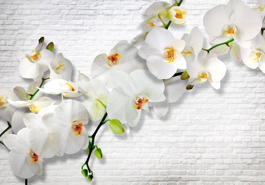 Blumentapete mit großer weißer Orchideenblüte und grauer Stadtstruktur – stilvolles Wanddesign auf Vlies