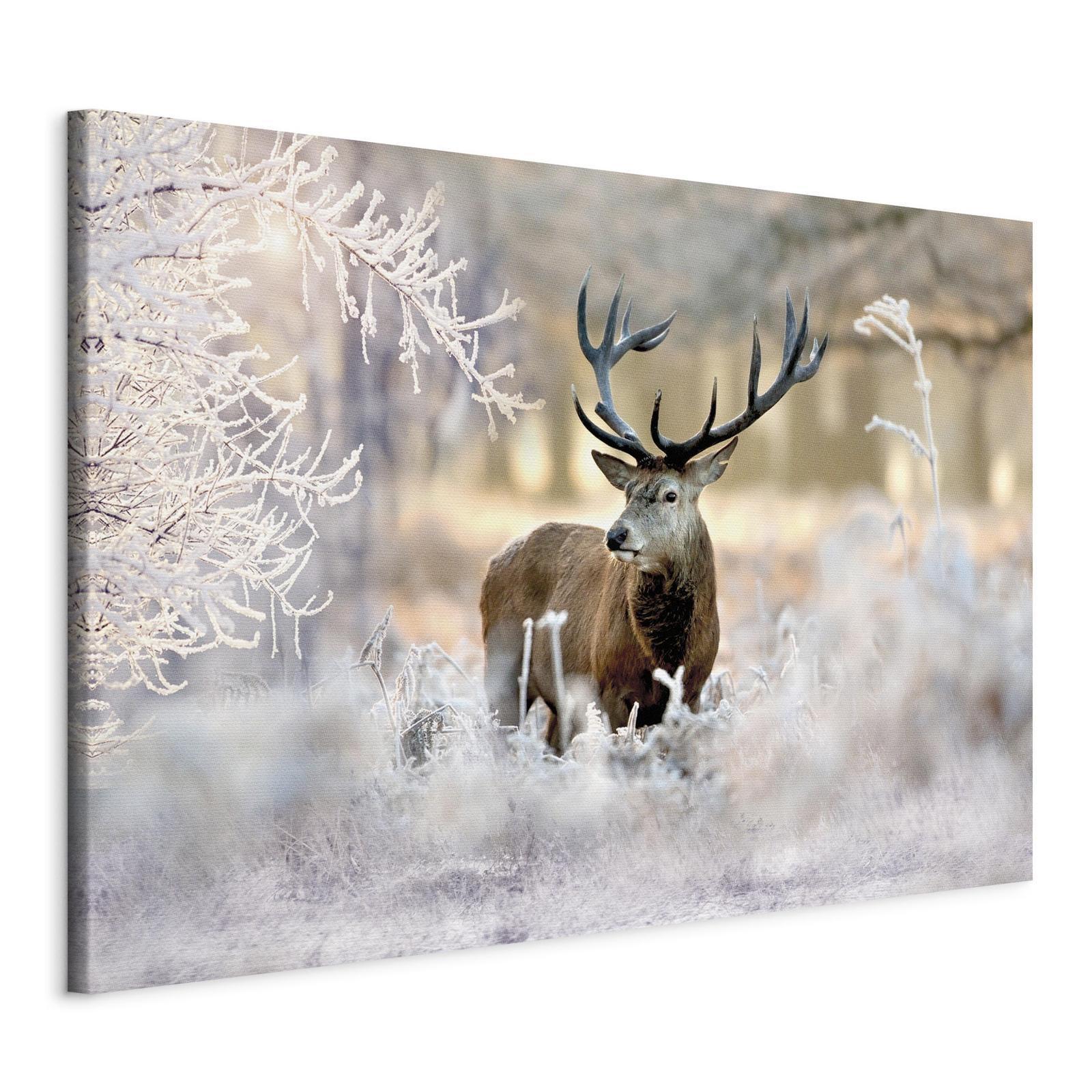 Leinwandbild - Deer in the Cold Artgeist