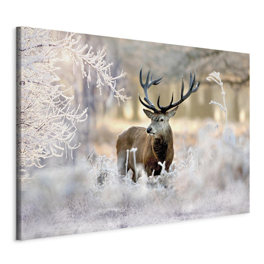 Leinwandbild - Deer in the Cold Artgeist