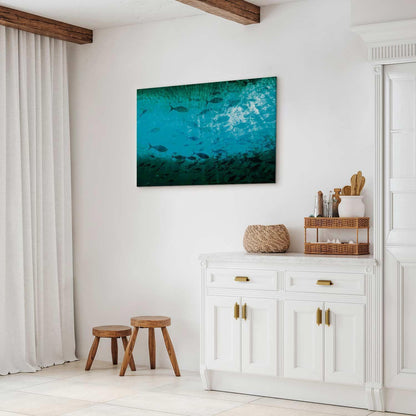Leinwandbild - A shoal of dark fish
