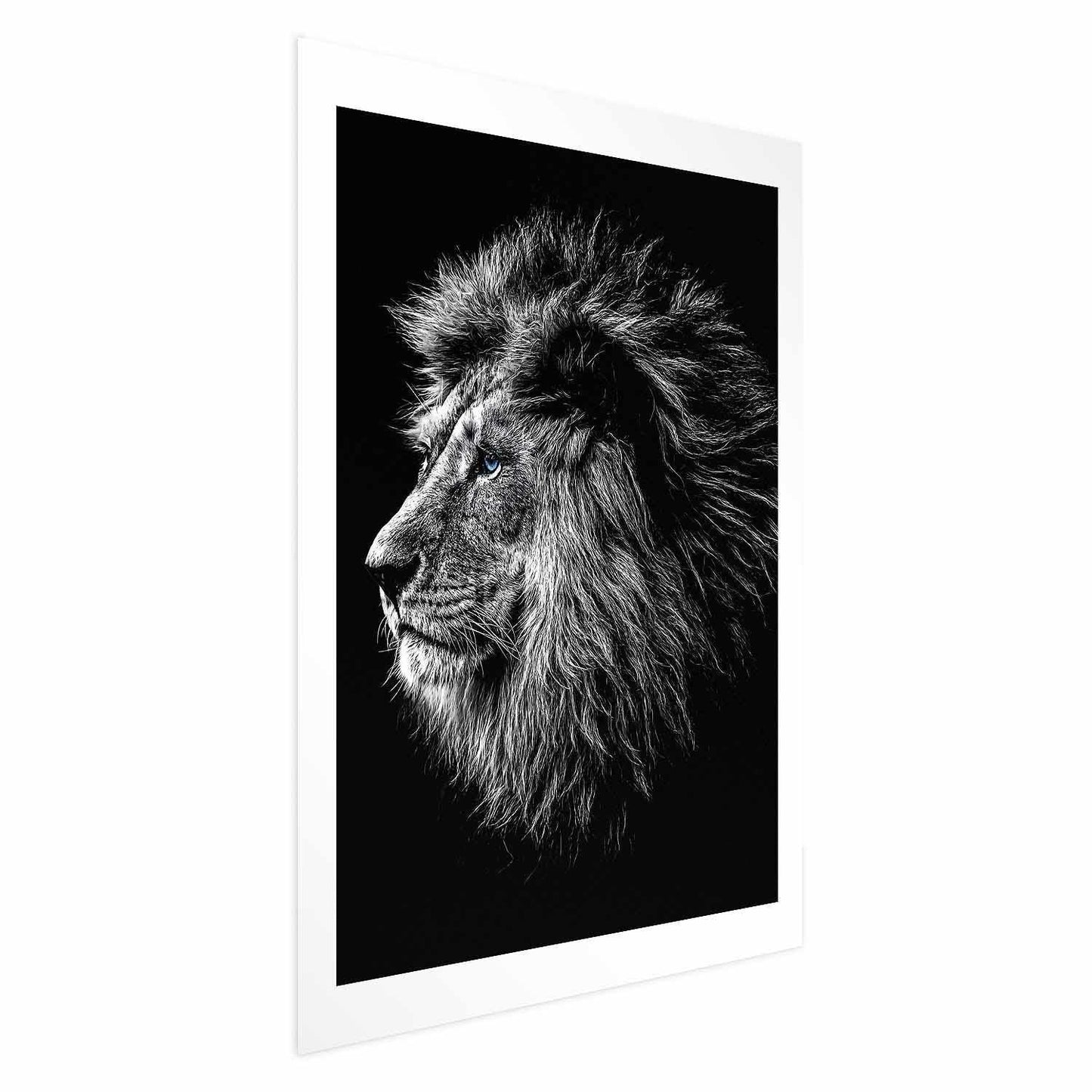 Poster - Blue-eyed Lion Artgeist