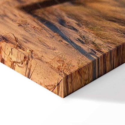 Leinwandbild - Sunset Path