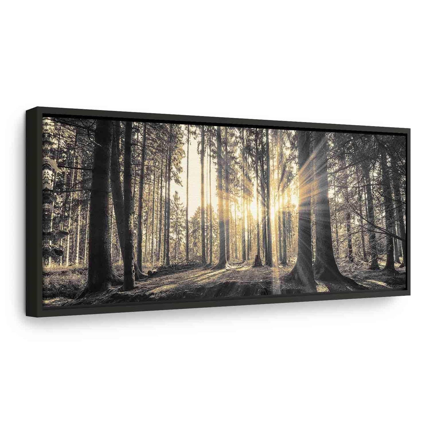 Leinwandbild - Forest Sun Artgeist