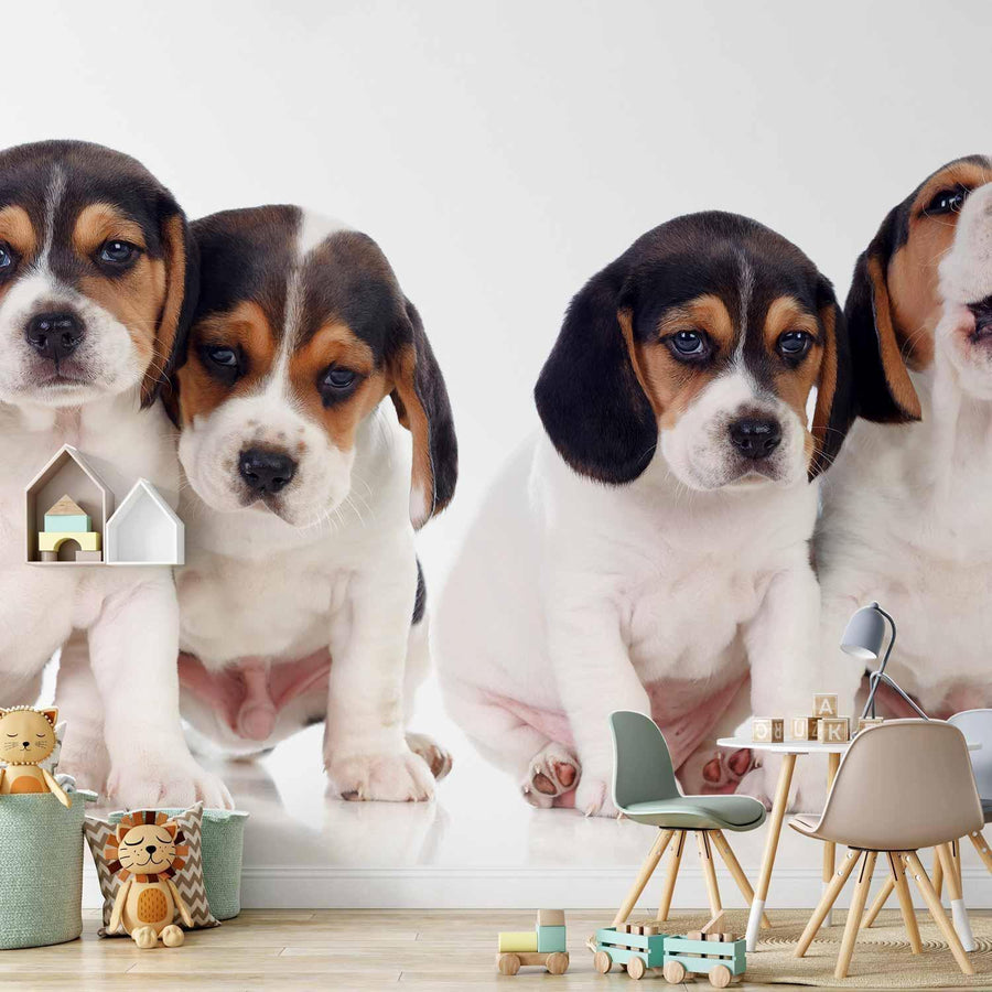 Fototapete „Sad Puppies“ – Süße Hundewelpen mit Herzblick