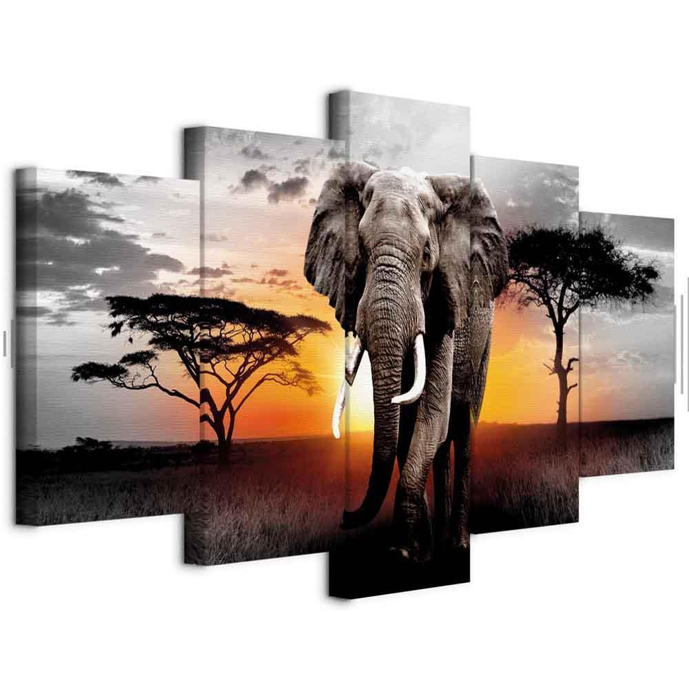 Leinwandbild - Elephant at Sunset