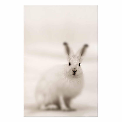 Poster - Fearful Look