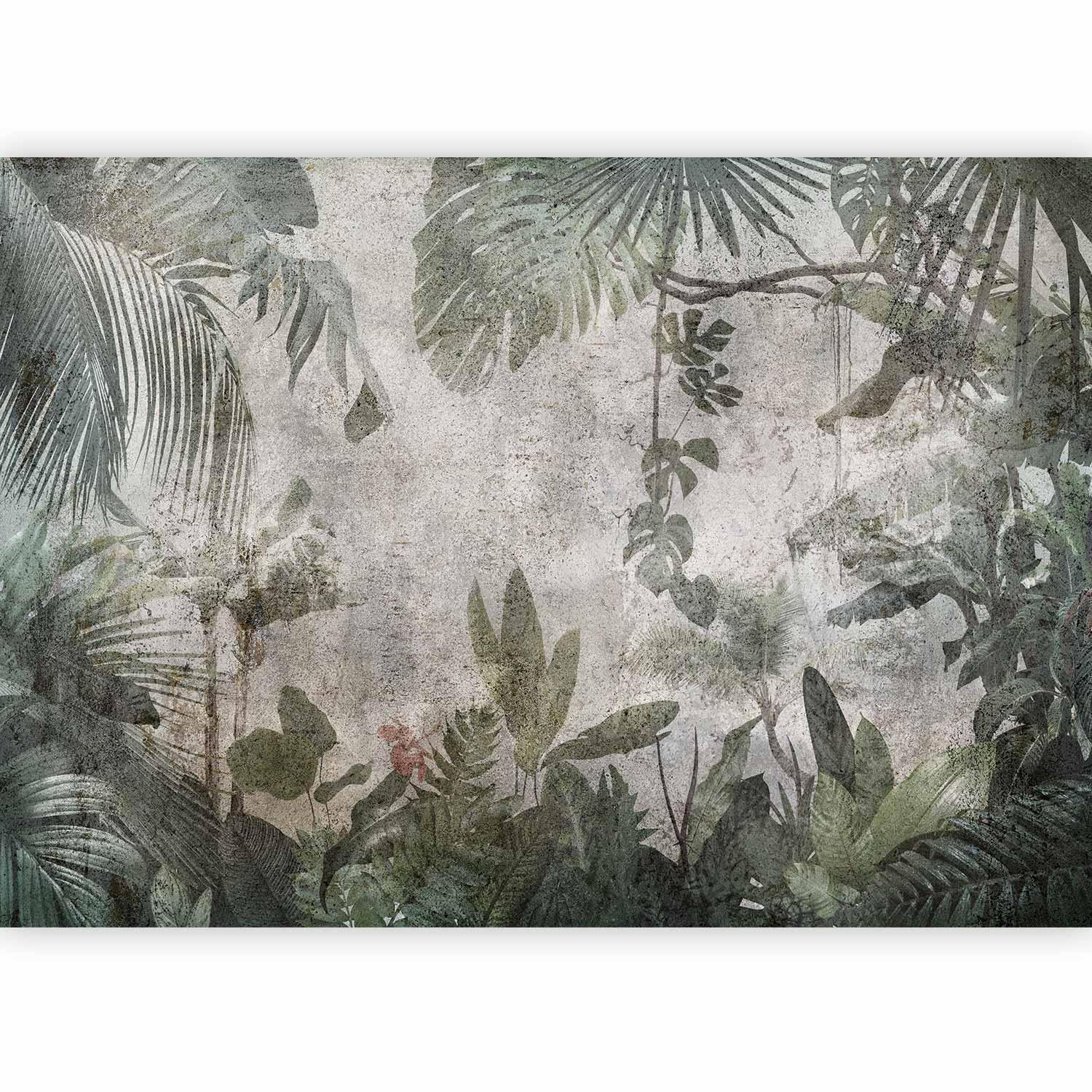Fototapete - Rain Forest in the Fog Artgeist