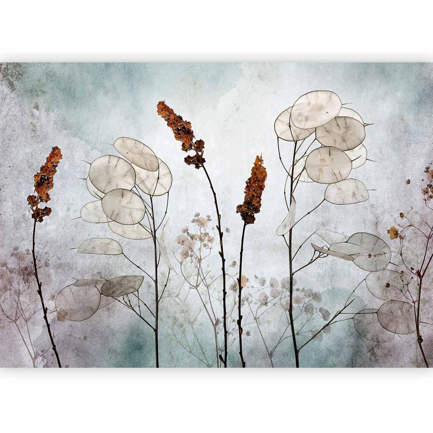 Fototapete - Lunaria in the Meadow Artgeist