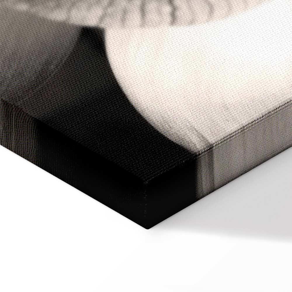 Leinwandbild - Delicacy of Petals in Nature (1-part) - Flower in Black and White