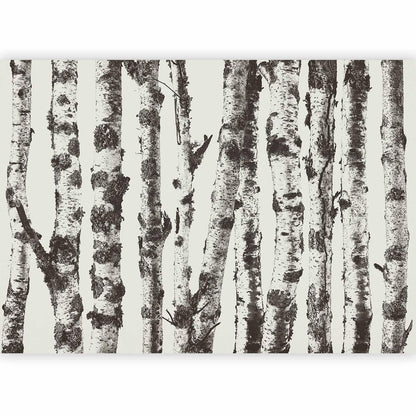 Fototapete - Stately Birches - First Variant Artgeist