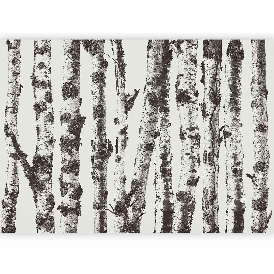 Fototapete - Stately Birches - First Variant Artgeist