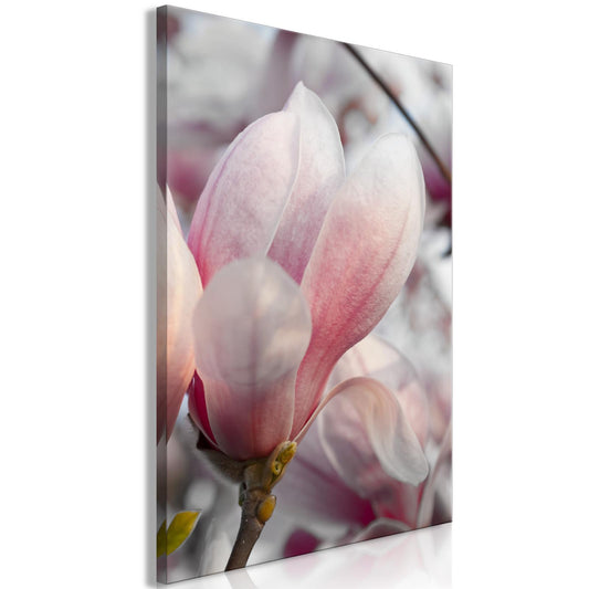 Leinwandbild Frühlingsbote – Blumenmotiv in sanften Farben