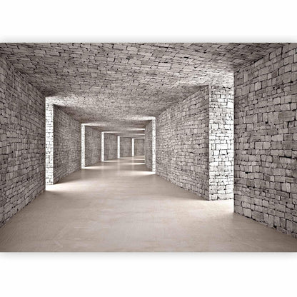 Fototapete „Geheimnisvoller Tunnel“ – Tiefenwirkung für faszinierende Räume sawelt.eu