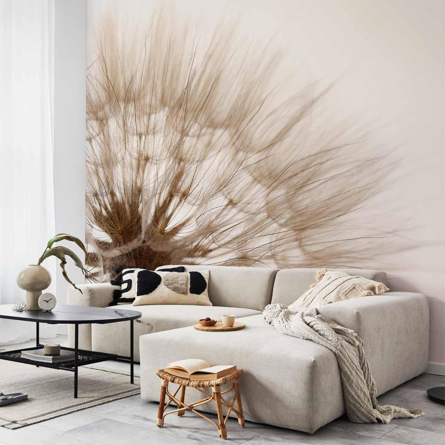 Fototapete - Nature close-up - close-up motif of a blowfly flower in sepia