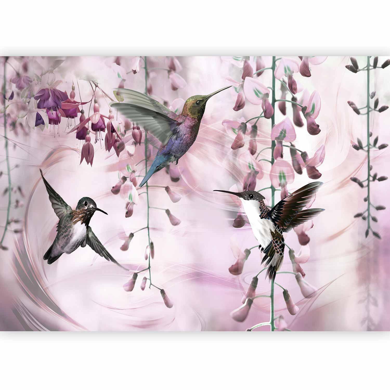 Fototapete - Flying Hummingbirds (Pink) Artgeist