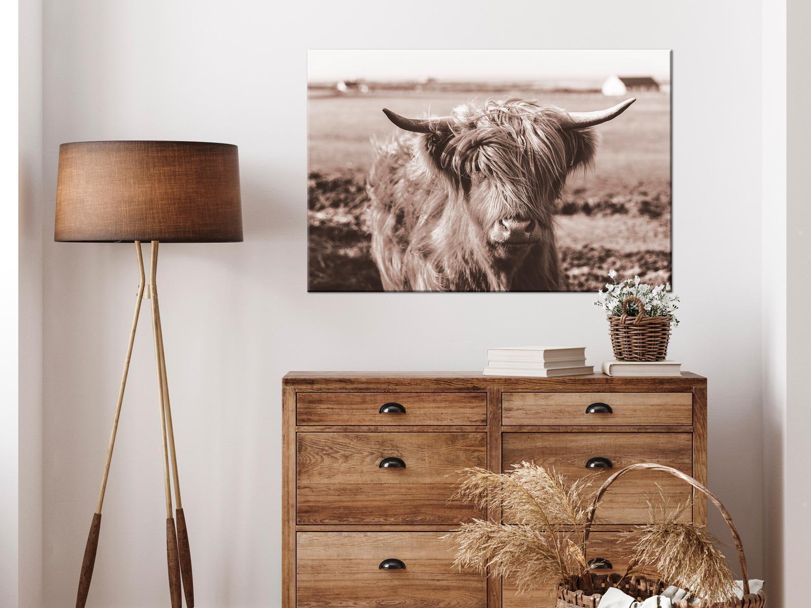 Leinwandbild - A Scottish Cow in Sepia Artgeist