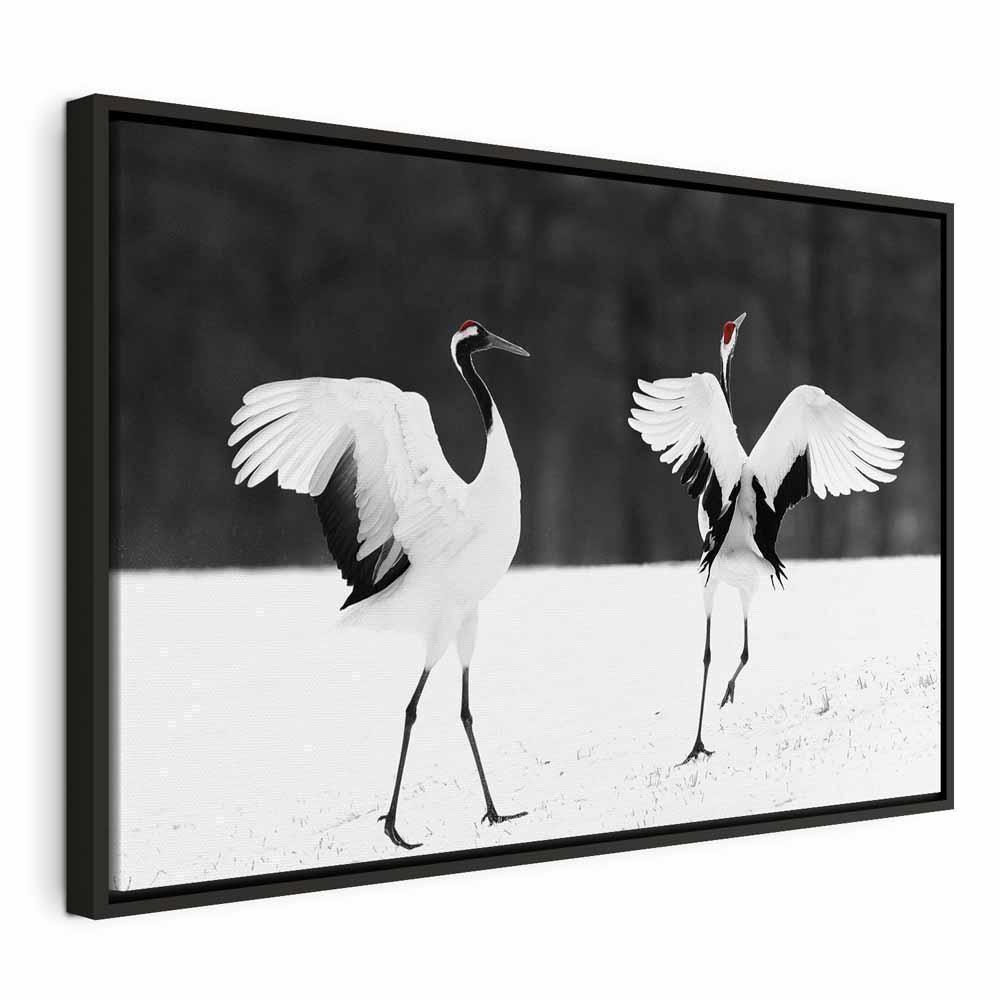 Leinwandbild - Dancing Cranes (1 Part) Wide