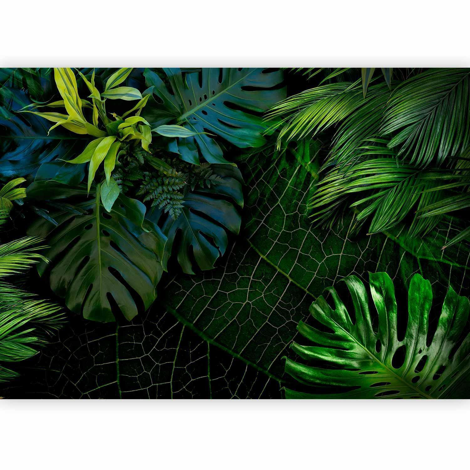 Fototapete - Dark Jungle Artgeist