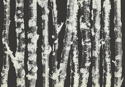 Fototapete - Stately Birches - Second Variant Artgeist