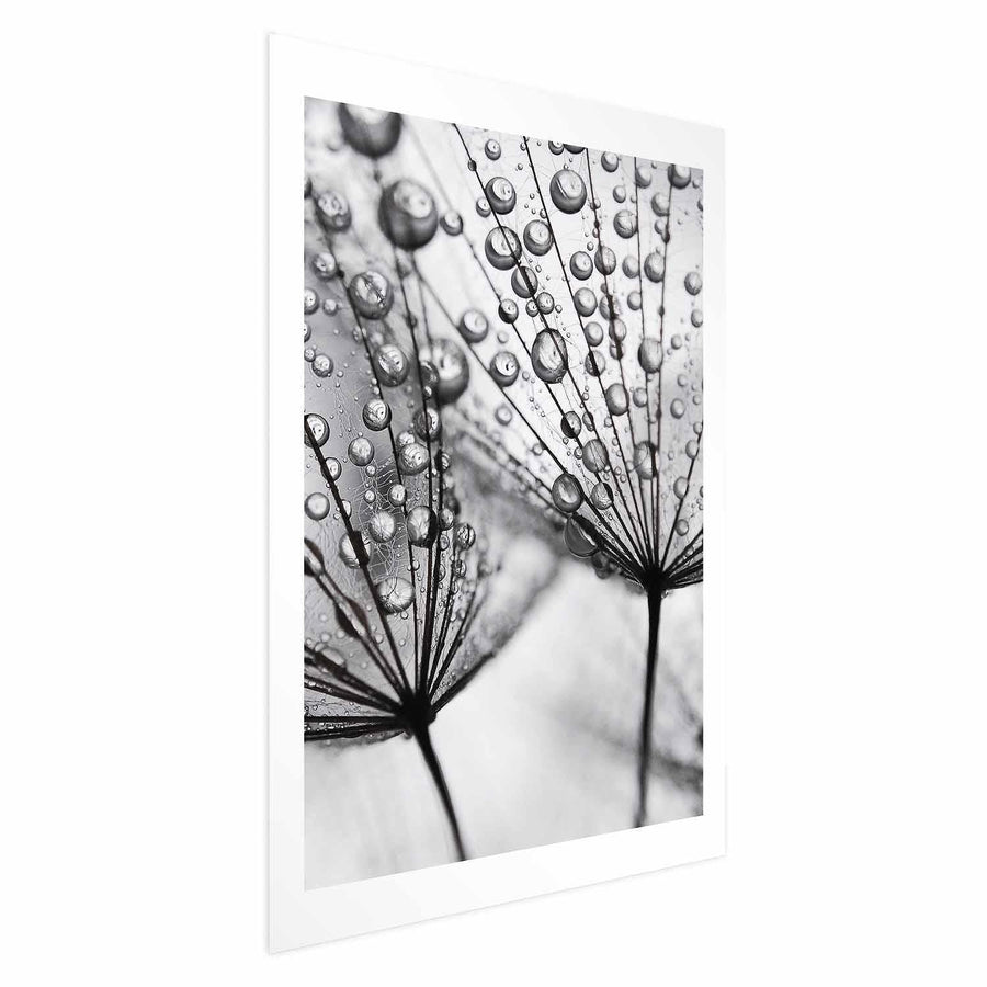 Poster - Macro Dew Artgeist